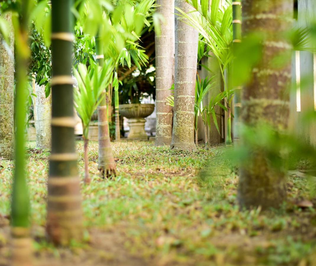 Chiang Mai Heritage House Exterior foto
